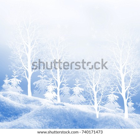 Frozen winter forest. collage of photos of trees and snow.