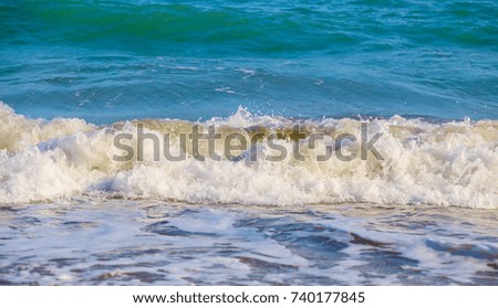 beautiful waves on the sea shore