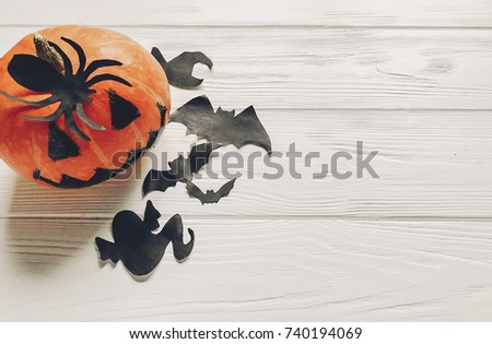 halloween flat lay. jack lantern pumpkin with witch ghost bats and spider black decorations on white wooden background top view, space for text. seasonal greetings. happy halloween concept
