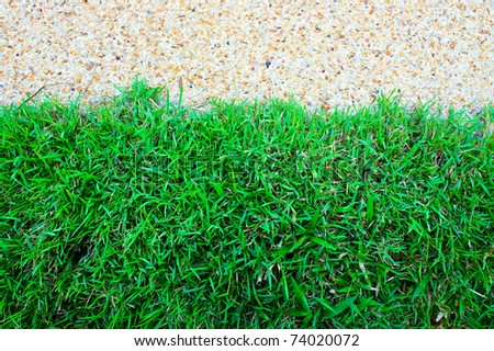 Healthy grass and sand floor background