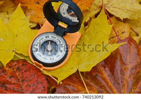 Compass in the rain on the leaves. Autumn walk in the wet season.