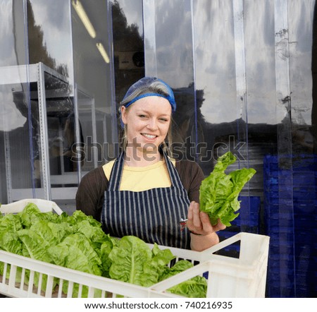 farm worker with harvested lettuces