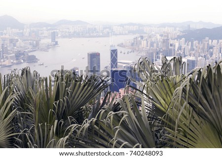 A contrast view of nature and cityscape in Hong Kong China