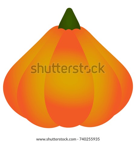 Pumpkin isolated on white background, Vector ilustration