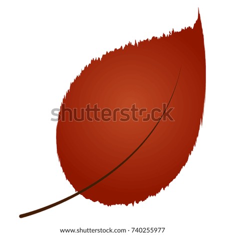 Fall leaf isolated on white background, Vector illustration