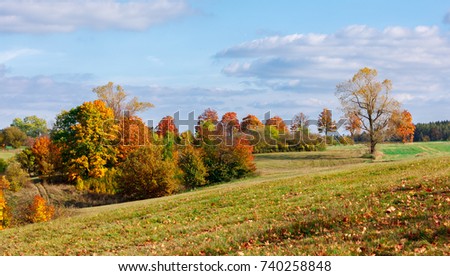 Autumn landscape with fall colored trees and blue sky in sunny day