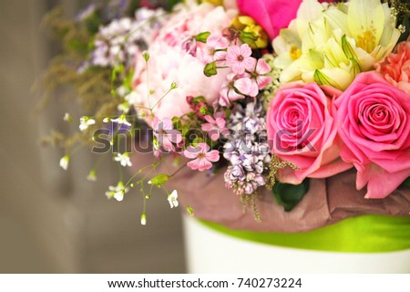 pink pose and pink flowers in white box. Gift romance at grey wall