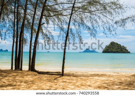 Amazing view of beautiful beach with tree in the foreground. Location: Krabi, Thailand, Andaman Sea. Artistic picture. Beauty world.