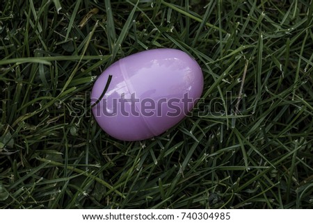 Plastic easter egg laying in the green grass