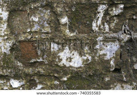Gray rough cement wall background. Row grunge texture.