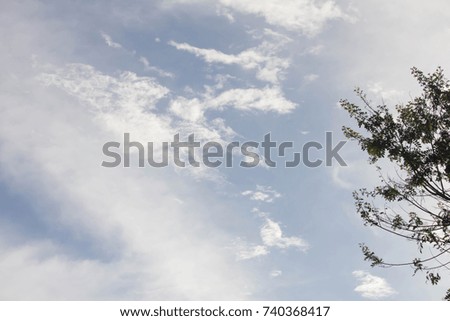 Black tree and Sky and cloud in winter