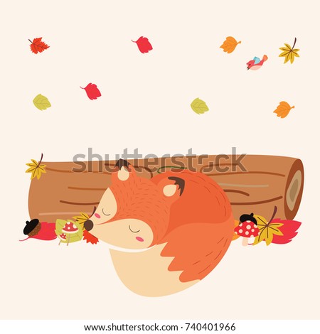 cute fox in autumn
