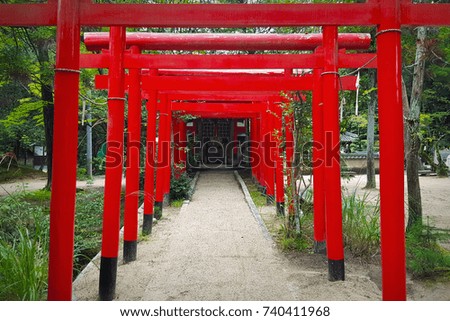 The abandoned old red wooden gates, aka. torii, standing on the nobody forest.