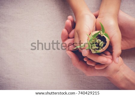 hands holding seedling in eggshells, montessori , CSR , Eco green sustainable living,zero waste, plastic free, earth day, world environment day,responsible consumption, eco emergency Royalty-Free Stock Photo #740429215