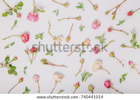 Festive flowers rose composition on the white background. Overhead view, flat lay. Copy space. Birthday, Mother's, Valentines, Women's, Wedding Day concept.