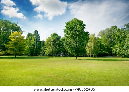 Picturesque green glade in city park. Green grass and trees. Copy space.
