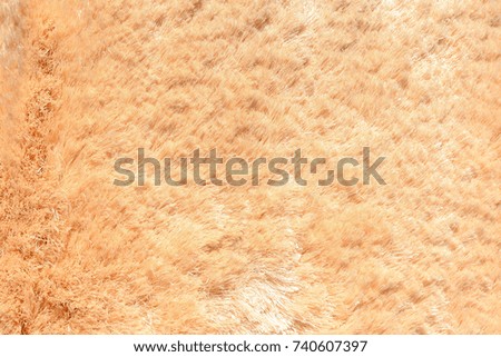 Carpet close up abstract textured surface background