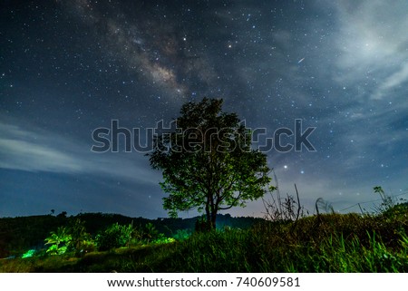 The milky way rises over the single tree on a foreground. Image contain noise due to high ISO and soft focus due to wide aperture.