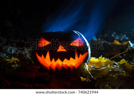 Pumpkins Burning In Forest At Night - Halloween Background
