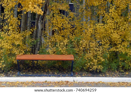 An orange and blue bench in a park near trees with yellow and green foliage. Autumn background