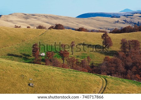 Beautiful fall highland meadows with yellow grass and red beech autumn trees