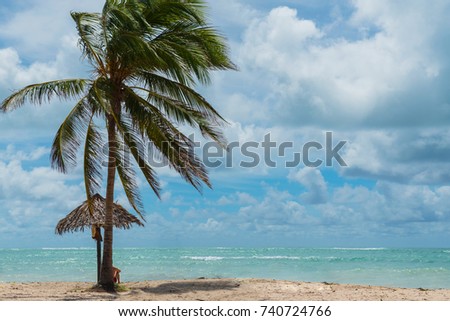Spectacular view to the tropical sandy beach with palm trees, Trinidad, Cuba, Caribbean Islands. Playa María Aguilar