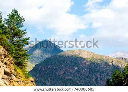 mountain top, trees in the mountains, mountains