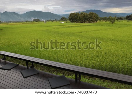 Fields , mountains and seat in the rainy season, nan province , Thailand
