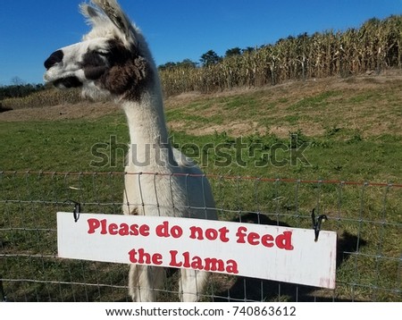 please do not feed llama sign with llama
