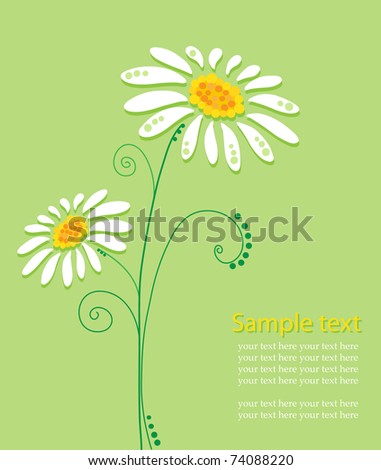 Nice camomiles background with place for your text