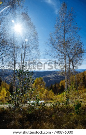 Autumn deep forest with rays of warm illumining through the leaves. Mountaine paths and roads in the autumn landscape.