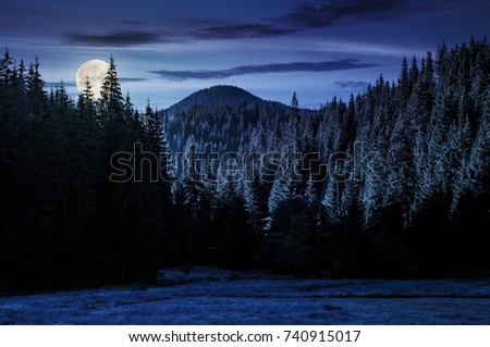 beautiful nature scenery in mountains with spruce forest at night in full moon light