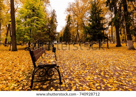 Leaf fall in the park in autumn. Landscape with lindens and bench on a foreground on a cloudy day.