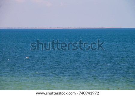 View on the Azov sea on summer
