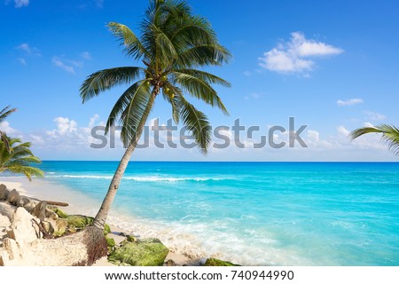 Playa del Carmen beach palm trees in Riviera Maya Caribbean of Mexico Royalty-Free Stock Photo #740944990