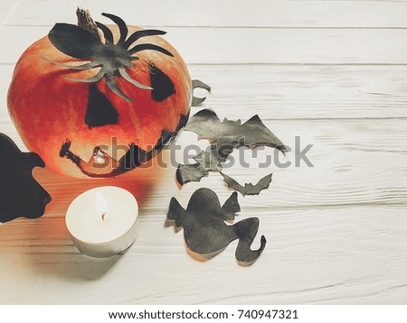 halloween. spooky jack lantern pumpkin with ghost bats and spider black decorations in light on white wooden background. holiday celebration. seasonal greetings. happy halloween concept