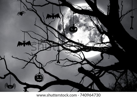 Halloween. Tree branches against the background of the moon.