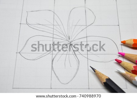 The sketch of flower on white paper that it's simple drawing for student in the drawing classroom.