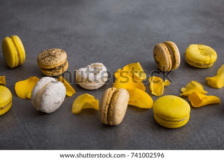 sweet french macaroon cake with yellow flower rose petals on a stone background