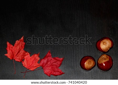 Autumn / Fall theme - three maple leaves and chestnuts on the black background as a frame