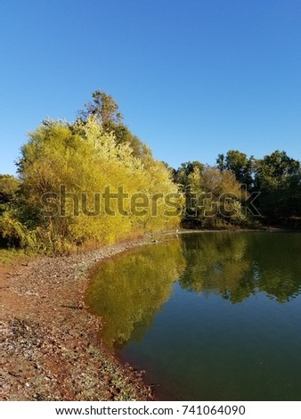 autumn in lake