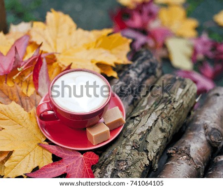 cup of coffee, autumn landscape