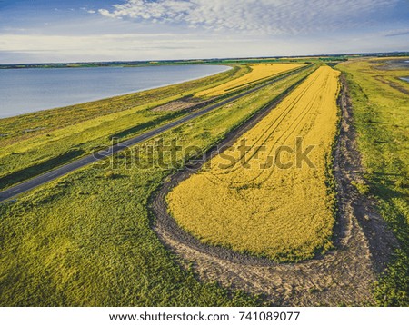 Aerial view of a beautiful yellow canola field