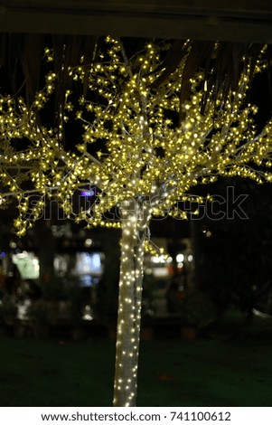 Tree with gold color glowing at the dark in Keningau, BORNEO.