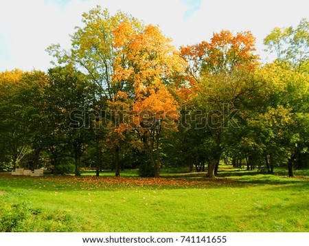 Beautiful autumn park in Belarus, colorful leaves Royalty-Free Stock Photo #741141655