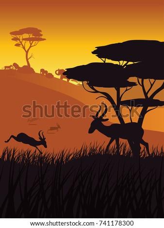Colorful sunset scene, african landscape with silhouette of trees and antelopes.