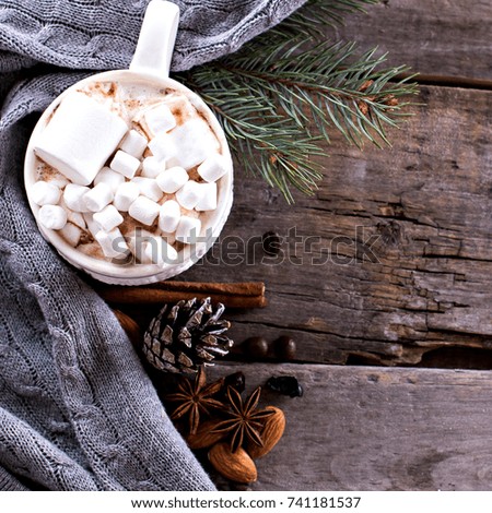 Cocoa, coffee, gift, fir branch, nuts, cones, cozy knitted blanket. Winter, New Year, Christmas still life. 