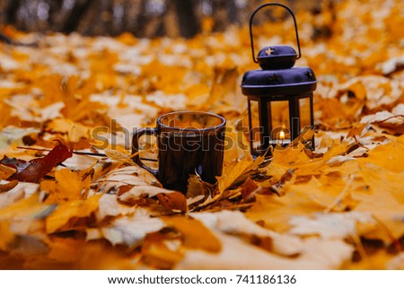 Lantern and cup of tea in bright autumn leafes