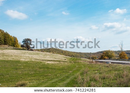 Beautiful sunny landscape on the countryside