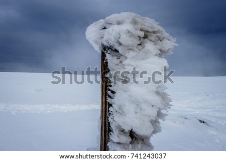 Ice covered fence posts formed by the wind. Picture taken on a snow covered Hohneck meadow, Vosges. 